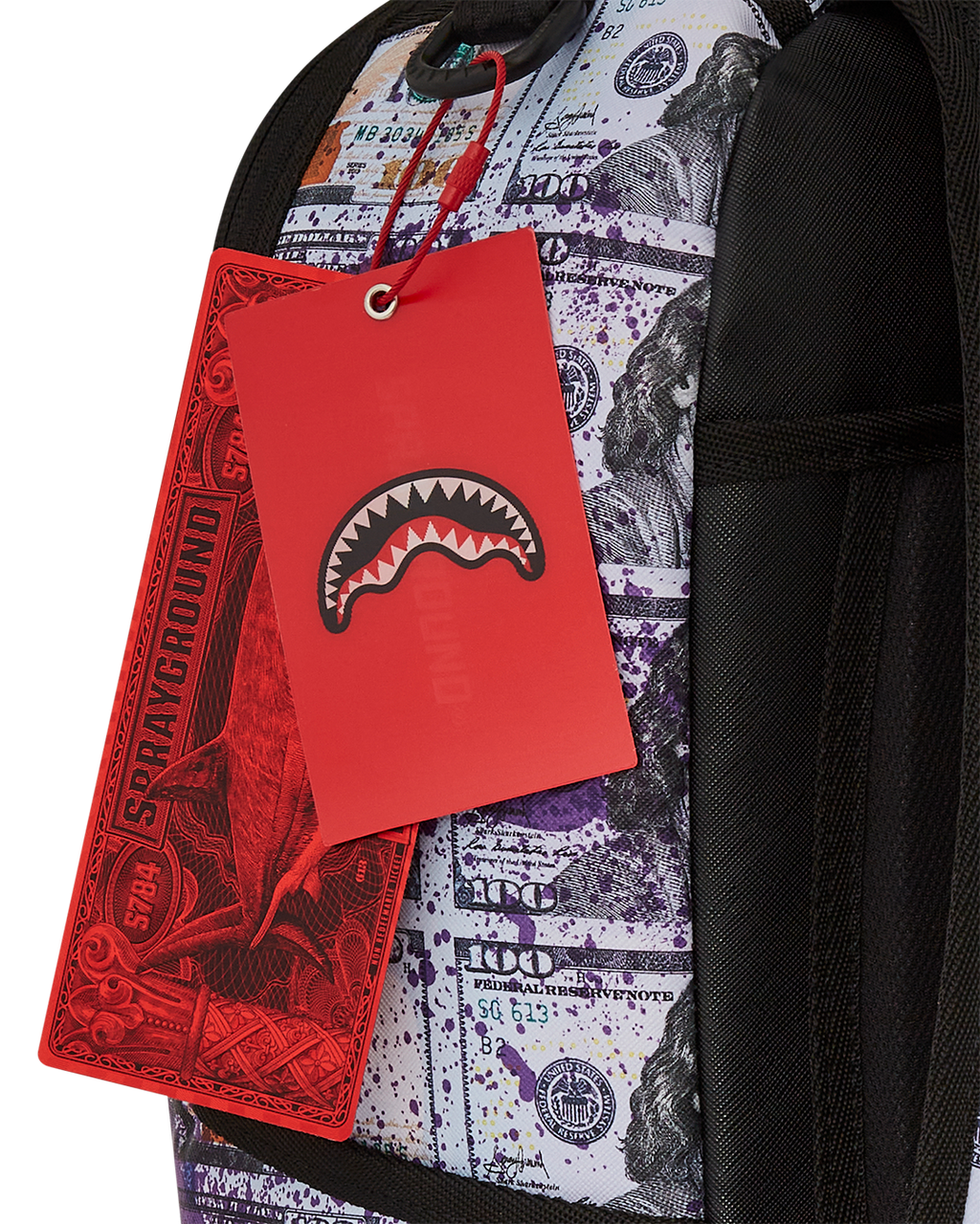 BILLIONS IN THE BANK BACKPACK